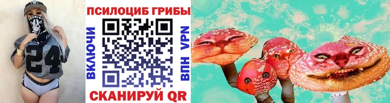 что такое   Спасск-Рязанский  Псилоцибиновые грибы MAGIC MUSHROOMS 