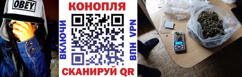 где можно купить наркотик  Спасск-Рязанский  Марихуана THC 21% 